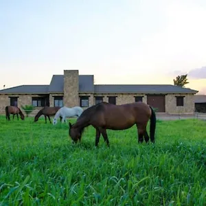 Casa Ecuestre Carmen Martinez , Fuente Palmera Spain